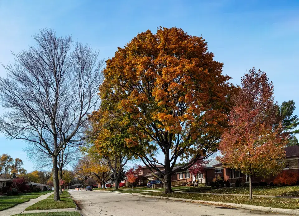 towing service Plattsmouth